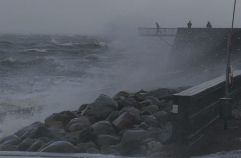 Storm i Daniaparken